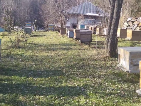 Наша пасека перешла в режим зимней спячки!
